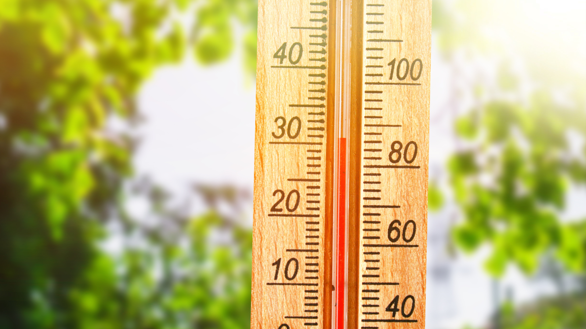 Un gros plan d’un thermomètre en bois d’extérieur indiquant une température élevée, avec un fond de feuilles vert flou et une lumière vive du soleil – le temps parfait pour profiter de votre carte de valeur estivale.