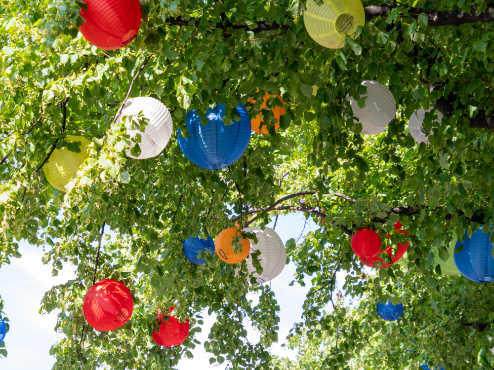 Des lanternes en papier colorées pendent des branches des arbres au milieu de la verdure luxuriante, créant une atmosphère festive et vibrante en plein air – parfaite pour célébrer avec une carte de valeur estivale sous la lumière naturelle.